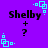 Purple background with four identical 'Shelby' text blocks, each paired with a plus sign and question mark beneath it, surrounded by cyan square-based pixel art elements.
