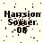 Pixelated text 'Harrison Soccer 08' on a light background with scattered dark red pixels, showing animation changes across observations.