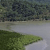 Pixelated landscape with dark green trees, light gray water, and green grassy shore.