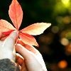 A close-up of a hand holding a small plant with multiple leaves against a blurred background of green and yellow tones.