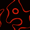 Animated abstract pattern with glowing red, cyan, and yellow lines forming irregular shapes on black background, transitioning between color variations.