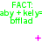 Green text 'F ACT: aby + kely=bfllad' repeated three times in a , with pink symbols above each repetition changing from plus to star to X