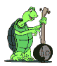 Green cartoon turtle plays a banjo in multiple poses across four of