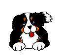 Animated contact sheet of a cartoon dog with black, white, and brown fur in various poses on gray background.