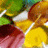 Pixelated image of overlapping colorful shapes including green, brown, yellow, and pink with white lines intersecting.