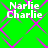 Green background with pink diamond lattice pattern and white text reading Narlie Charlie repeated four times in a