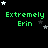 Green text 'Extremely Erin' on black background with white and gray stars, multiple identical frames showing star positions shifting slightly.
