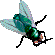 Pixelated green fly with translucent wings and black legs in various poses against a gray background.