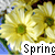 A pixelated image of yellow flowers with green centers and blue background elements, featuring partial text reading 'Spring' at the bottom.