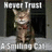 A smiling cat with a red collar stands in a dark doorway, text above reads 'Never Trust', text below reads 'A Smiling Cat'.