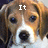 A four- shows a dog's face with pixelated text: 'It' in top-left, 'was the' in top-right, 'Gerbil' in bottom-left, and empty space in bottom-right