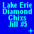 Blue background with cyan text reading "Lake Erie Diamond Chixs Jill #5" in a of nine identical , each containing small white symbols like plus signs and crosses