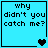 Four identical light blue with black text reading "why didn't you catch me?" and varying heart symbols at the bottom right