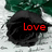 Two black roses with green foliage on a white background, each displaying red text: 'Love' on the left and 'Hurts' on the right.