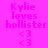 Pixelated text reads "Kylie loves hollister" with two heart symbols on a split background of pink and green, then gray.