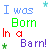 Pixelated text "I was Born In a Barn!" in various colors with small star symbols on white background, partially obscured by gray rectangle.