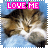 A 48x48 pixel animated buddy icon featuring a cat with closed eyes and pink text reading "LOVE ME" above it, displayed as two sequential frames in a contact sheet layout.
