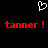 A black background displays a white pixelated heart symbol above red text reading 'tanner! tanner!' in two identical segments.