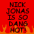 Red background with black pixelated text reading "NICK JONAS IS SO DANG HOT!" and orange flame graphics at the bottom.