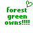 Green pixelated text reads 'forest green owns!!!!' with a heart symbol above the first word, displayed in two identical side-by-side views.