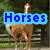 A horse stands in a grassy field with trees and a wooden fence, its tail swaying as text appears on purple backgrounds.