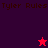 Pixelated displays "Tyler Rules" text with red and dark purple star symbols on colored backgrounds