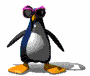 Animated penguin with purple goggles, orange feet, and blue neck stripe in four walking poses.