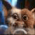 Pixelated cat face with wide eyes and open mouth, next to text reading 'Its me..' and 'Gizmo' on white background.