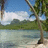 Pixelated beach scene with palm tree and water, split into four quadrants with text overlays on cyan backgrounds.