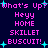 Pixelated text and cyan stars on dark blue background with repeated phrases 'What's Up?', 'Heyy', 'HOME', 'SKILLET BUSCUIT!', and star positions changing.