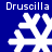 Four white snowflake icons on a solid blue background, each with the text "Druceilla" in light gray above and below.