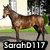 Four distinct horse images displayed in a , each with the text 'SarahD117' overlaid at the bottom