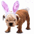 Brown dog wearing pink bunny ears with white headband, standing on white background next to green text reading 'OriginalIcons.com' in pixelated font.