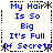 Blue pixelated text on white background reads "My Hair Is So Big It's Full Of Secrets" in four identical with black dotted borders