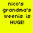 Yellow background with black text reading "nico's grandma's weenis is HUGE!" and blue rectangular highlights on different parts of the text across frames.