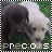 A pixelated dog with white and dark fur stands on green grass, its head slightly tilted, with the word 'precious' in pixelated text below.