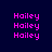 Pixelated text 'Hailey' in bright pink on dark blue background with blue rectangular overlays in different positions.