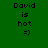 Four display 'David is hot =)' text with varying background colors: dark green, light green, white, and pale green