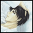 A 48x48 pixel buddy icon split into two sections: a left-side anime-style character portrait on light blue background and right-side text "Anime IM" with smaller "COM" below it on black background.