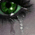 A static image of a human eye with a green iris and black pupil, featuring a heart-shaped black pupil in the lower right section.