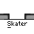 Pixelated character in blue jacket and white hair on gray platforms with 'Skater' text below each pose.