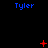 Blue 'Tyler' text appears in three on a black background with red pixelated symbols changing across frames