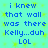 Blue pixelated text on a cyan background with yellow speckles, repeating the phrase "i knew that wall was there Kelly...duh LOL" in two identical vertical