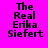 Four display the text "The Real Erika Siefert" in pixelated black font against solid backgrounds of pink, gray, green, and dark gray