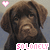 pixelated dog images with pink hearts and 'SO LONELY' text, showing subtle facial expression changes across frames