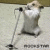 A static pixelated image shows a light-colored hamster with dark eyes and nose, standing upright on its hind legs holding two black objects resembling microphones.
