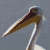 A pixelated pelican head and neck on a gray background, with green text reading 'Original Icons .com' on the right side.
