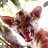 A pixelated close-up of a dog's face with brown fur, black eyes, and red mouth against green foliage background.