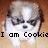 Pixelated dog with brown and white fur, dark eyes, and a black nose appears in three with text overlays