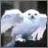 Pixelated static image of a white animal with rounded ears and dark eyes on a gradient background.